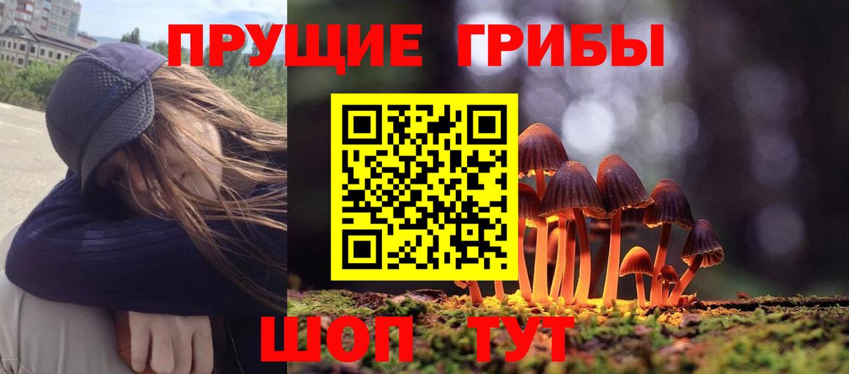 Сухой Лог  купить закладку  Вход с VPN  Галлюциногенные грибы прущие грибы 
