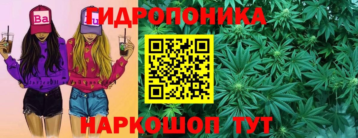 Сухой Лог  Марихуана THC 21%  Вход с VPN  Марихуана Amnesia 